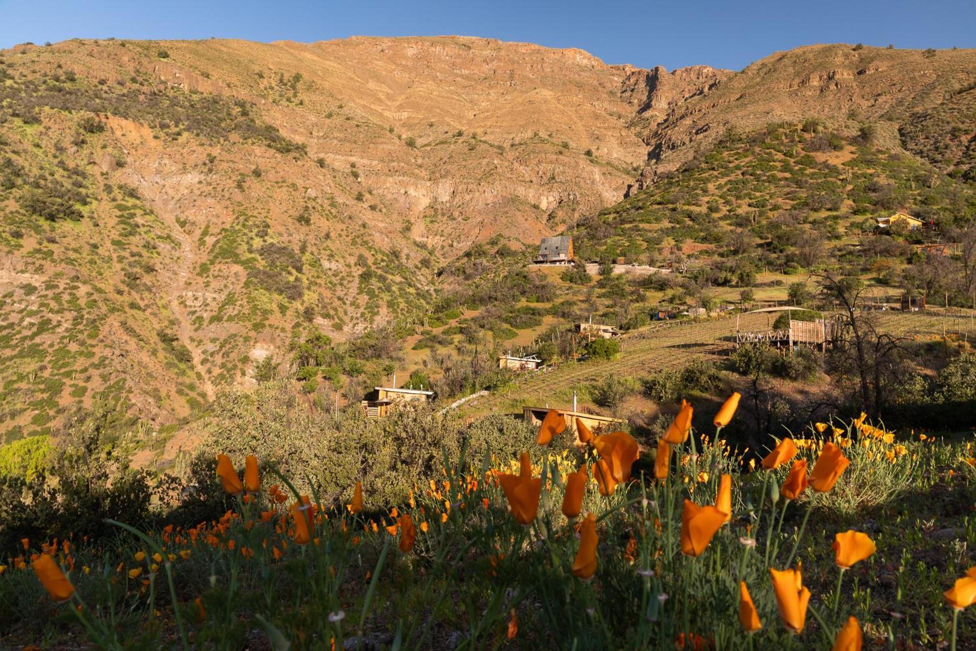 Origen Del Maipo Lodge San José de Maipo Extérieur photo